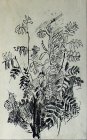 Rowan bush. Plein air sketch. 30x20 cm, paper, ink, pen. 1992.